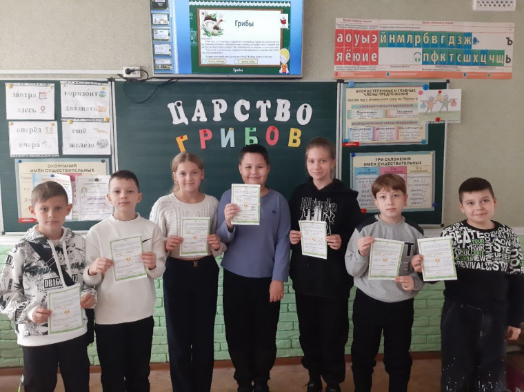 Путешествие в "Царство грибов".