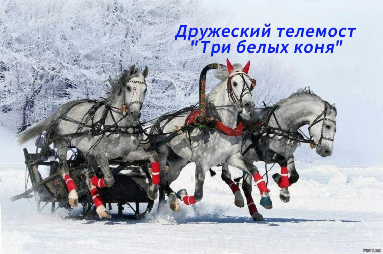 Дружеский телемост "Три белых коня".