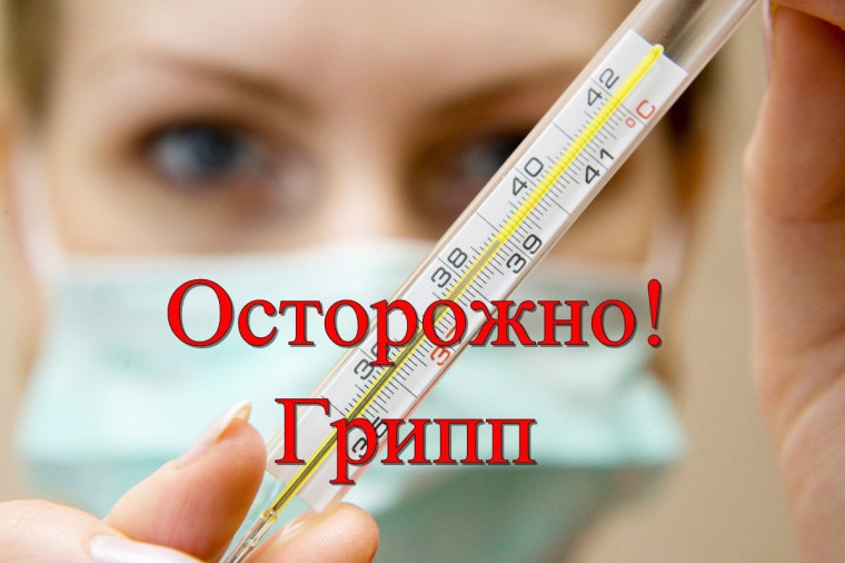 Осторожно: грипп!.
