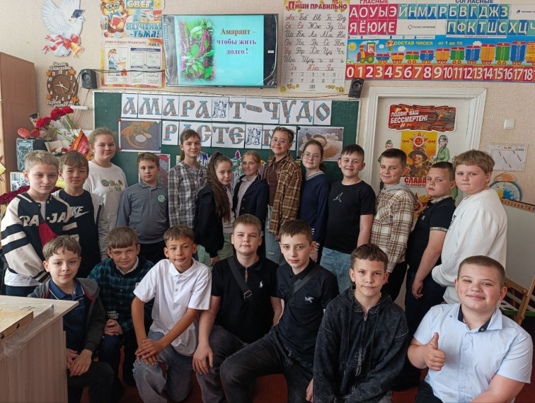 Амарант – растение XXI века.